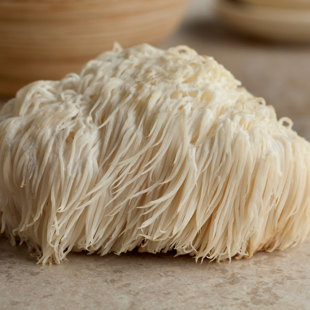 Dried Lion's Mane Mushroom 50 gm