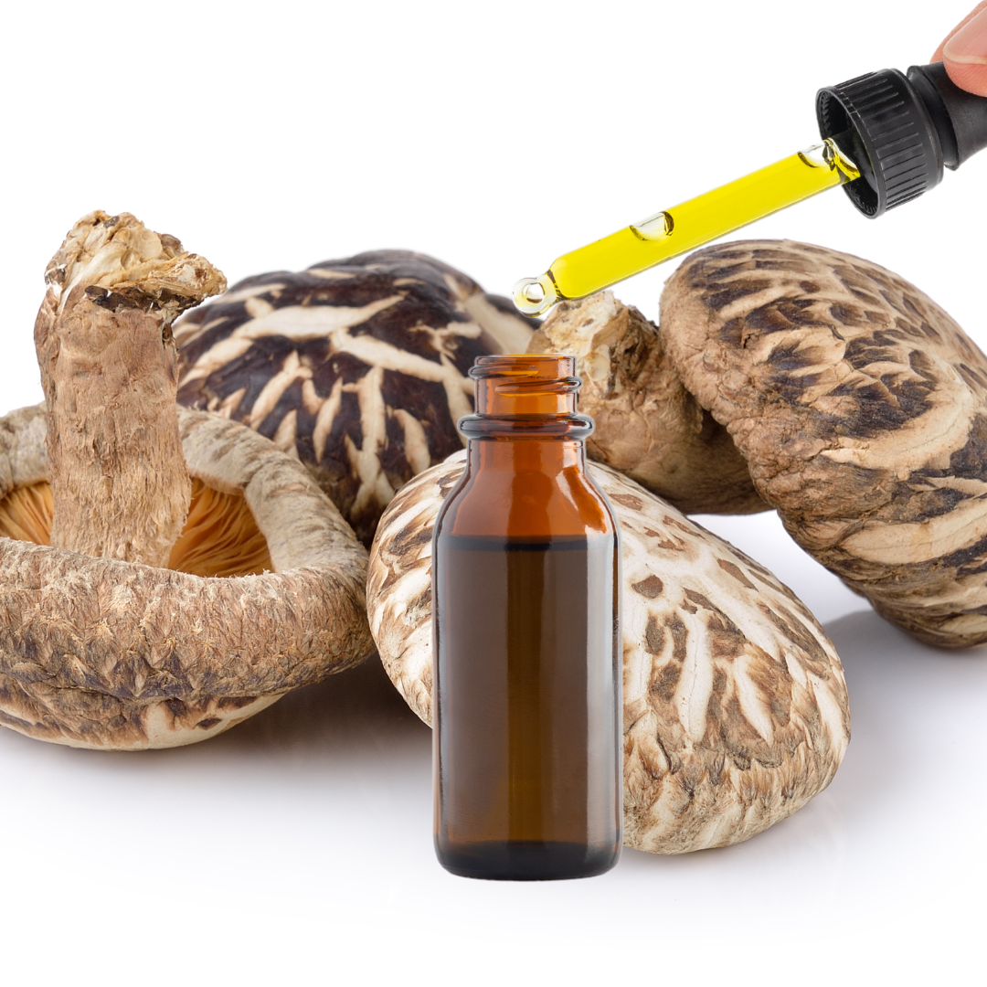 Shiitake Mushroom Extract Tincture 30ml (60 Servings)