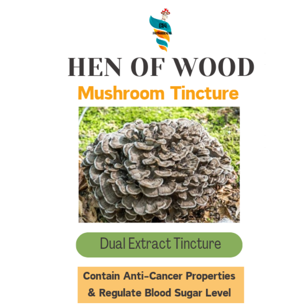 Hen of the Woods Tincture -Maitake Mushroom Extract 30ml (Dual Extract)
