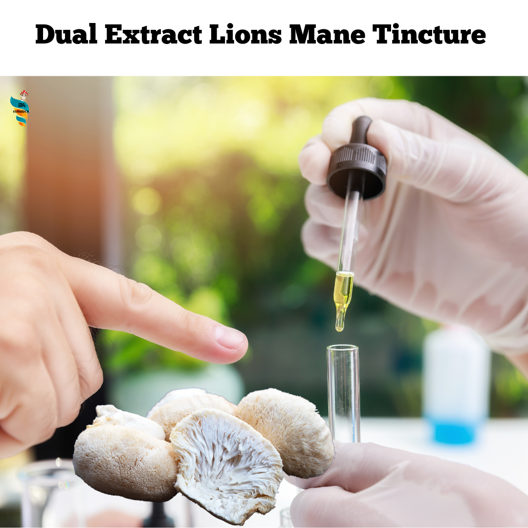 Lions Mane Mushroom Extract Tincture 30ml (60 Servings)