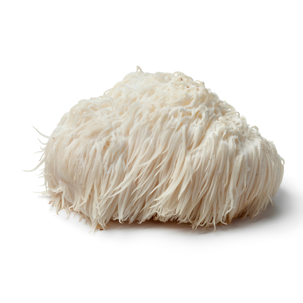 Dried Lion's Mane Mushroom 50 gm