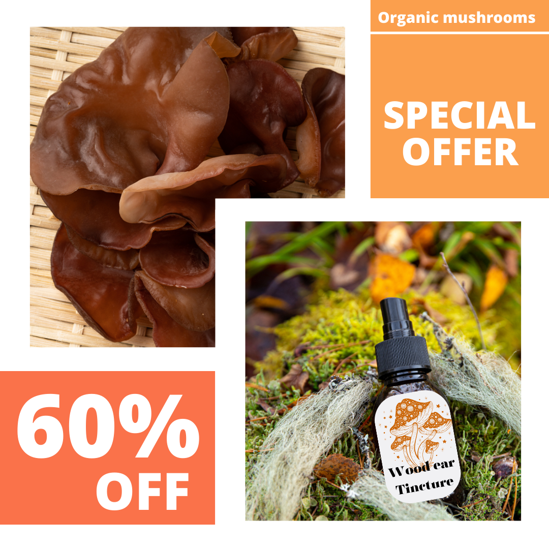 Wood Ear (Auricularia) Mushroom Extract Tincture 30ml (60 Servings)