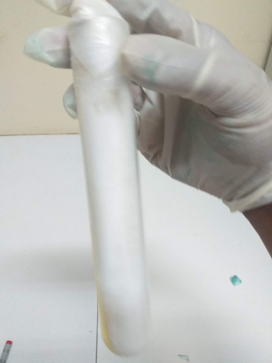 Pure Culture Test tube  (Mushroom Mycelium in Agar Nutrient Media )