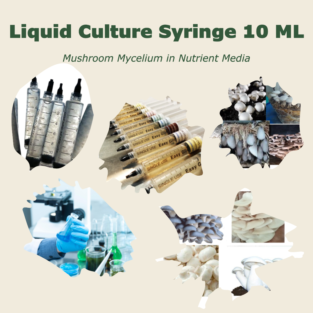 Liquid culture Syringe 10 ML (Mushroom Mycelium in Liquid Nutrient Media )