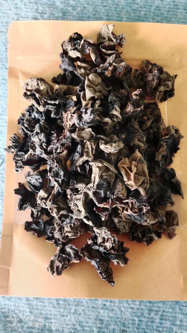 Dry Edible Black Fungus (Cloud Ear and Wood Ear Mushrooms) 100 gm