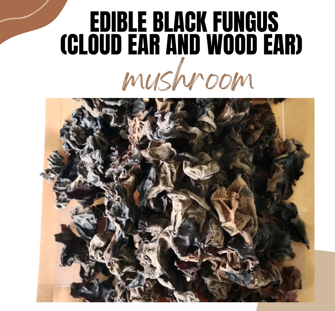 Dry Edible Black Fungus (Cloud Ear and Wood Ear Mushrooms) 100 gm