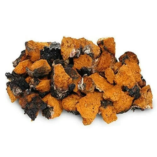 Dry Chaga Mushroom - 30gm (Inonotus obliquus)