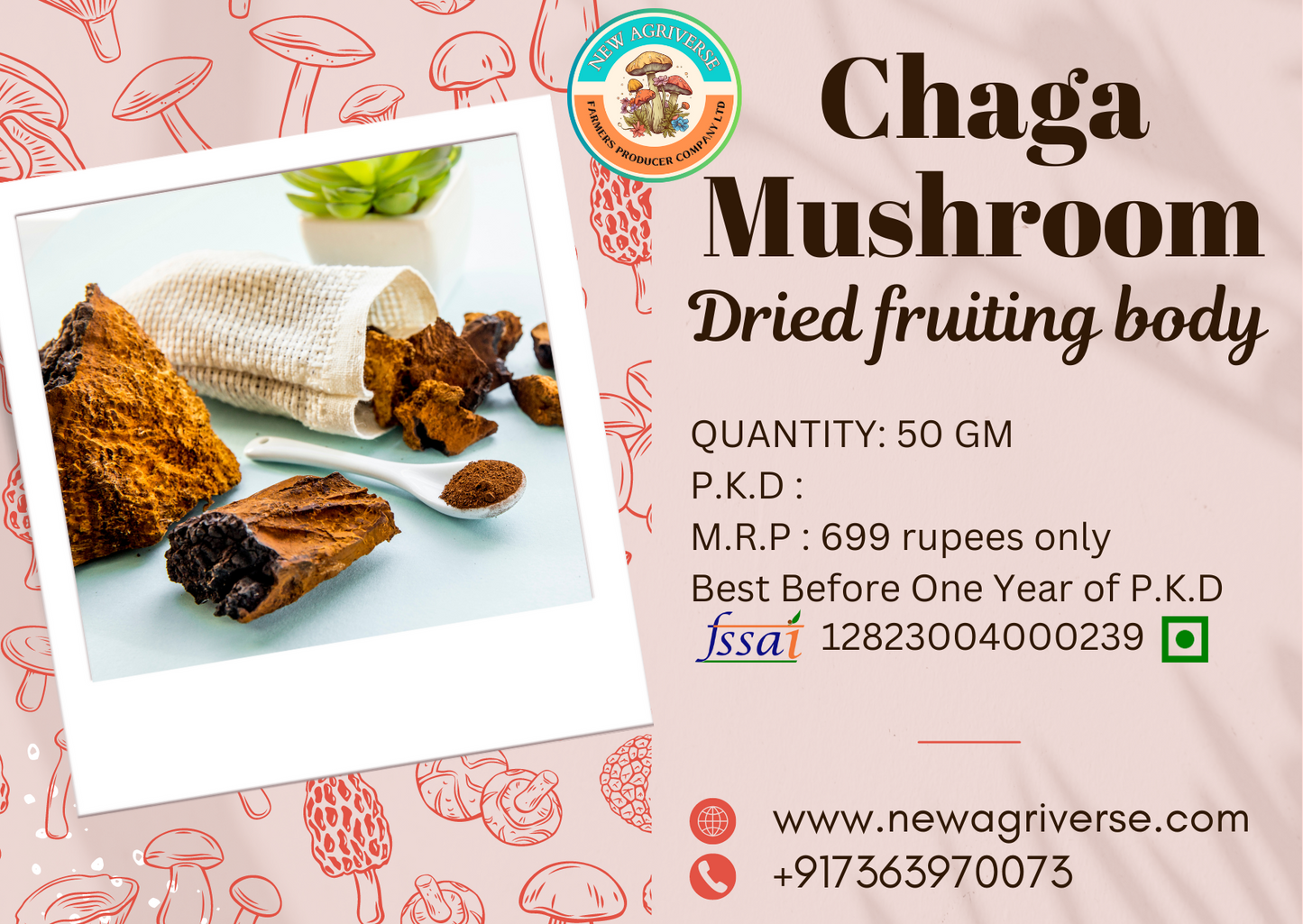 Dry Chaga Mushroom - 30gm (Inonotus obliquus)