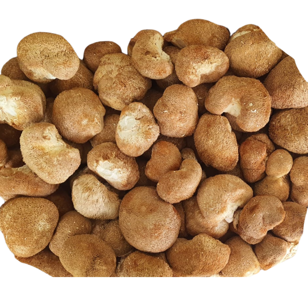 Dried Lion's Mane Mushroom 50 gm