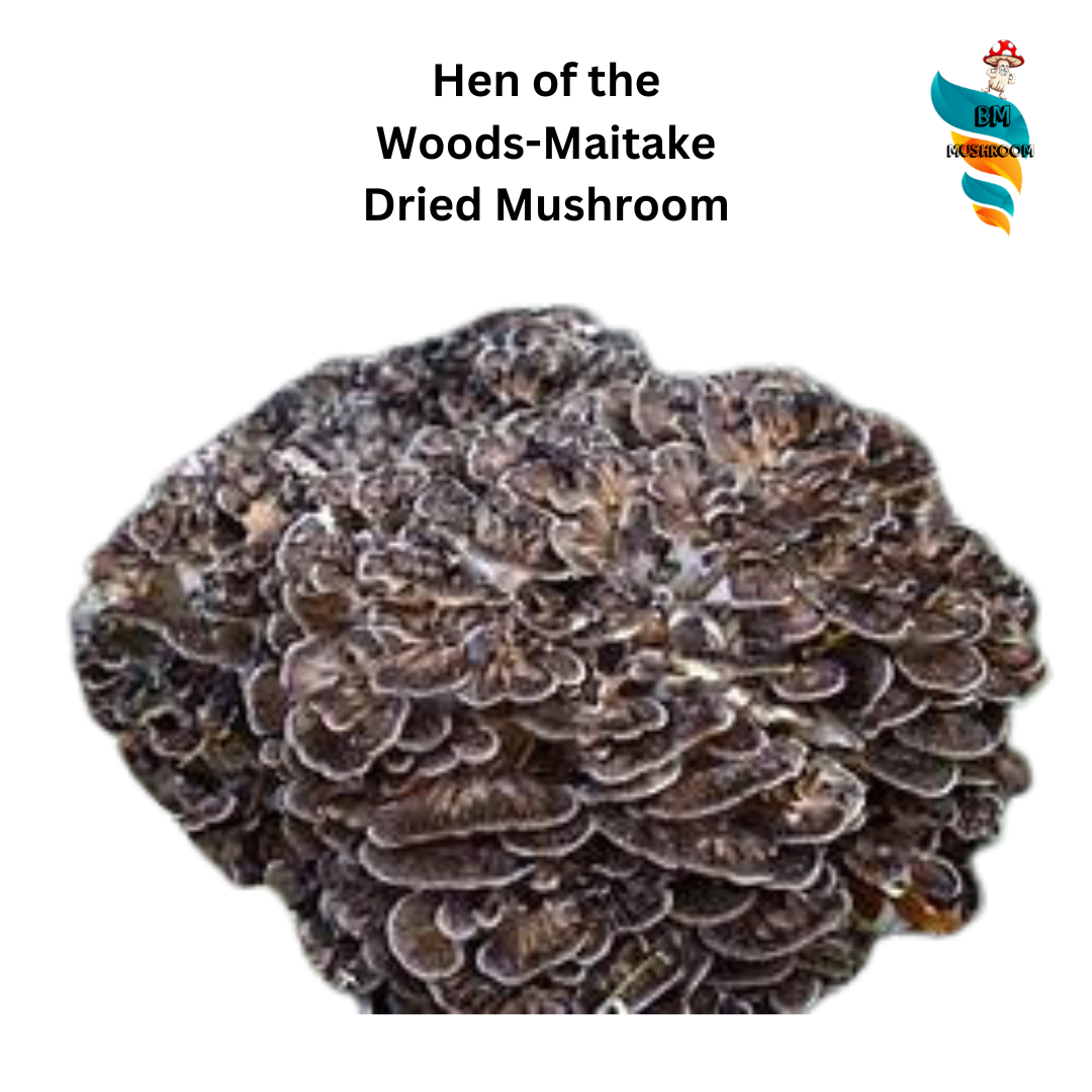 Dry Maitake Mushroom (Hen of the Wood) - 30gm