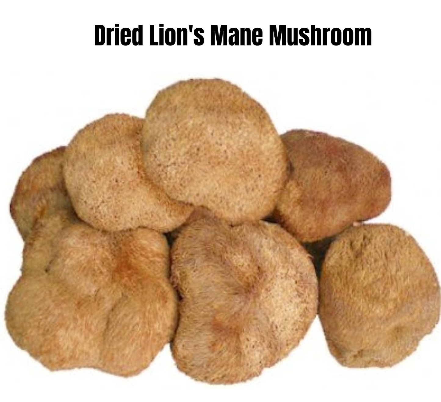 Dried Lion's Mane Mushroom 50 gm