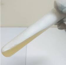 Pure Culture Test tube  (Mushroom Mycelium in Agar Nutrient Media )