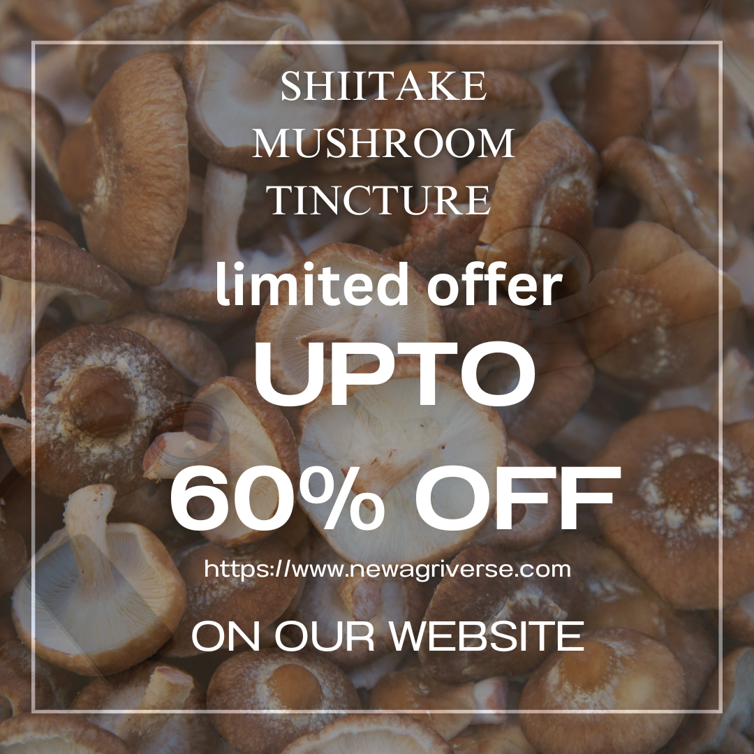 Shiitake Mushroom Extract Tincture 30ml (60 Servings)