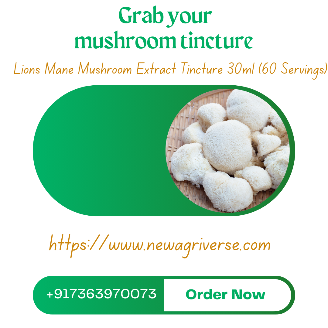 Lions Mane Mushroom Extract Tincture 30ml (60 Servings)