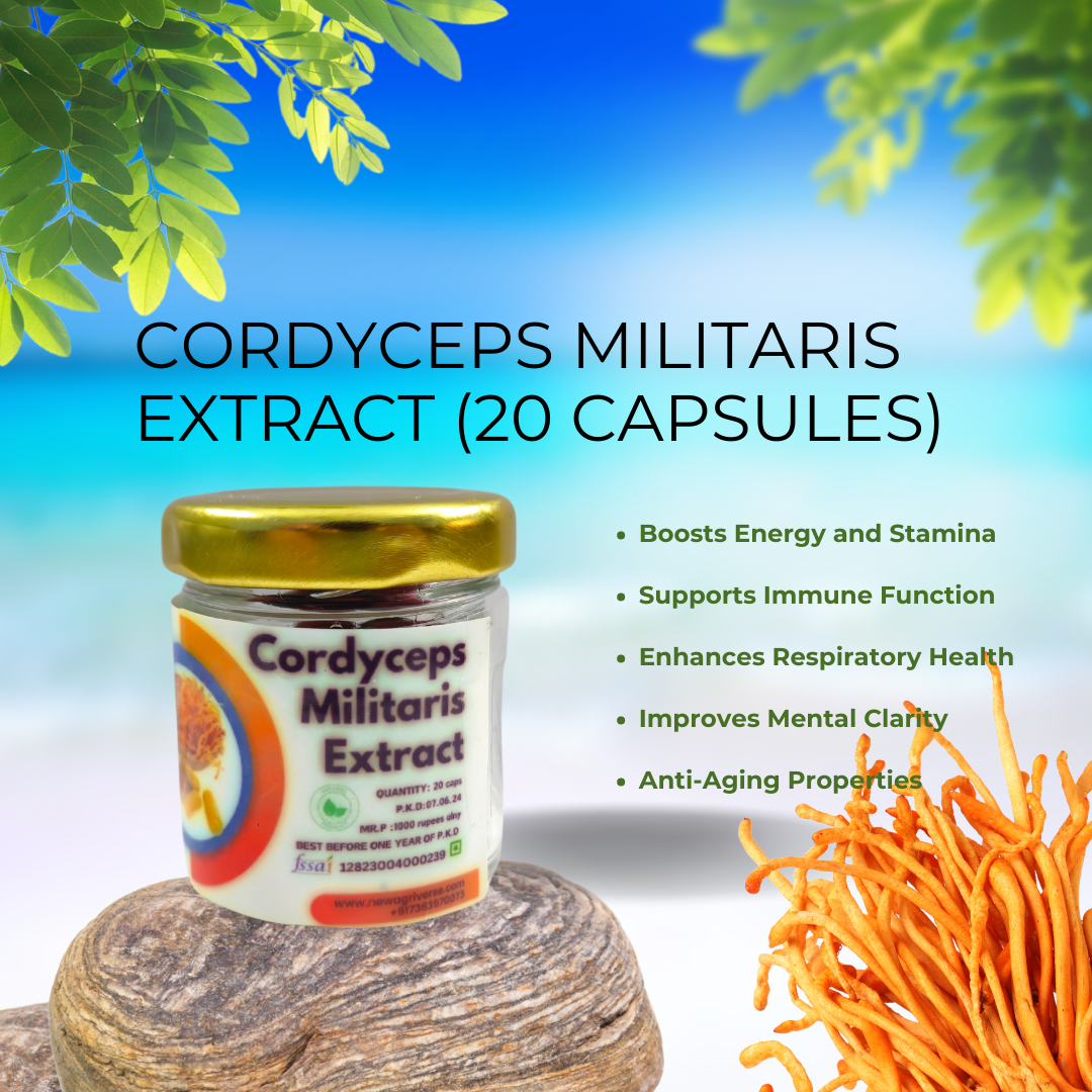 Cordyceps Militaris Extract (20 Capsules)