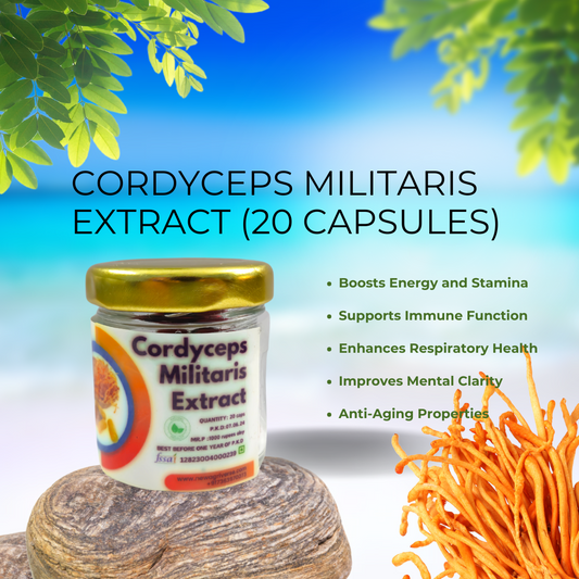 Cordyceps Militaris Extract (20 Capsules)