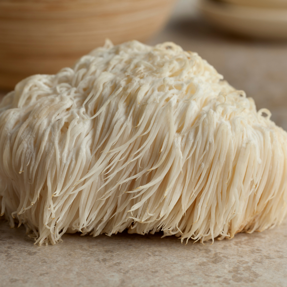 Lion's Mane Mushroom Spawn (Hericium erinaceus)