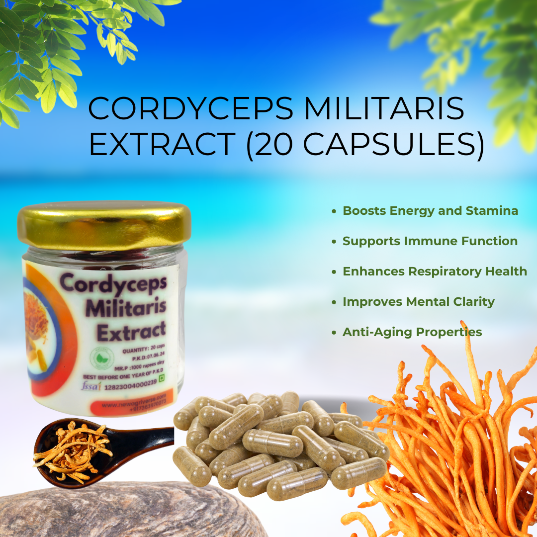 Cordyceps Militaris Extract (20 Capsules)