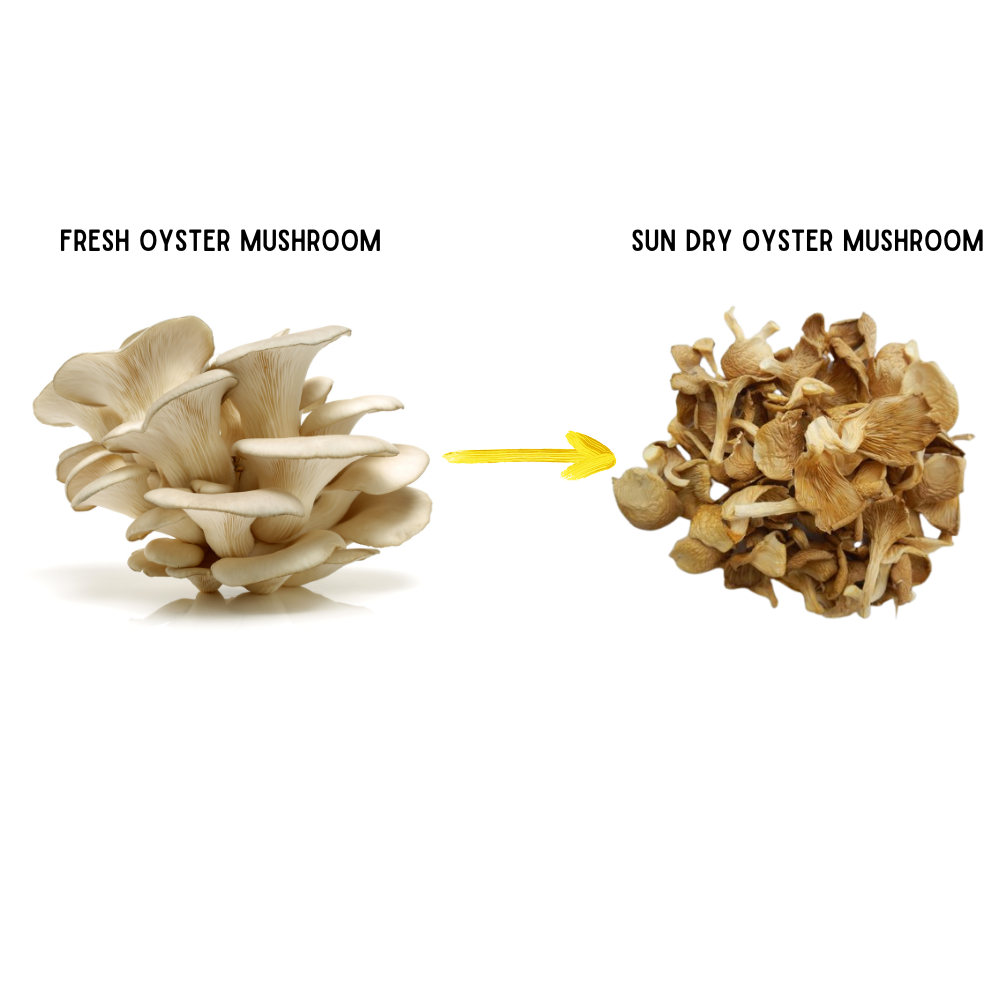 High-Quality A-Grade Dry Oyster Mushrooms | Pleurotus ostreatus | Nutrient-Rich 100 gm