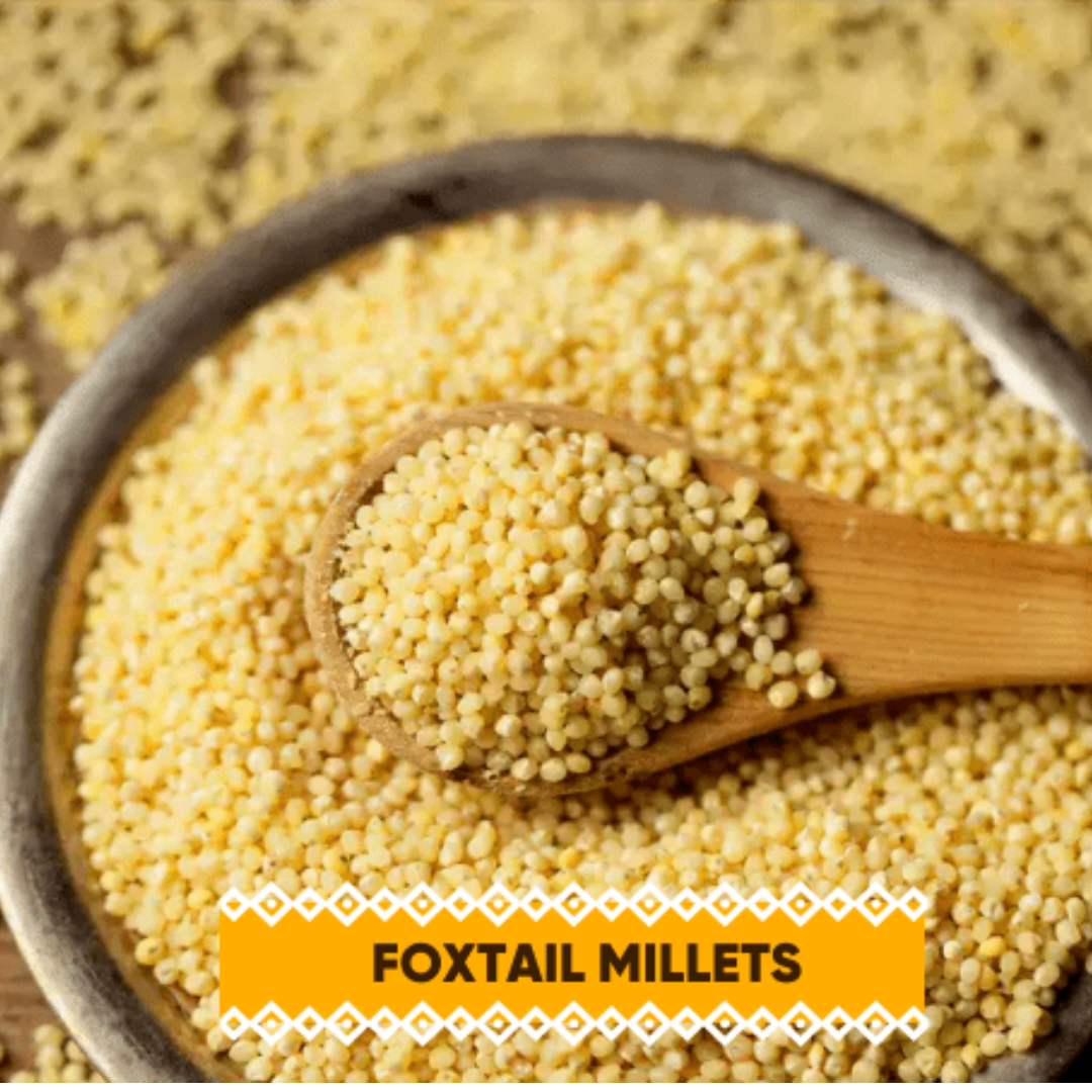 Foxtail Millet Whole Grain (Kangani) | 500g