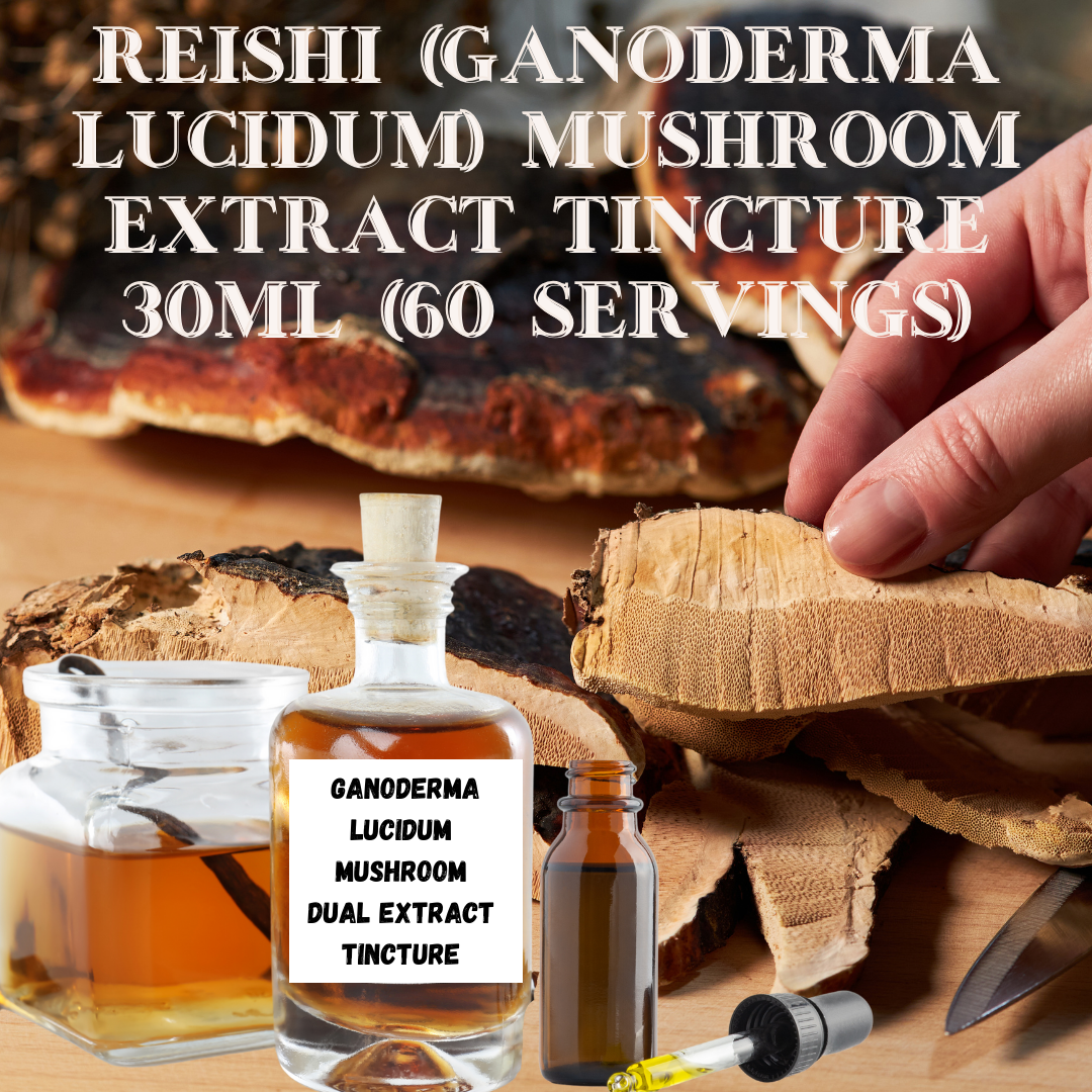 Reishi (Ganoderma Lucidum) Mushroom Extract Tincture 30ml (60 Servings)