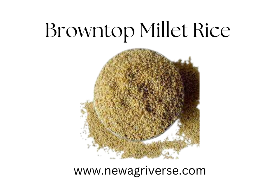 Browntop Millet Rice | 500g