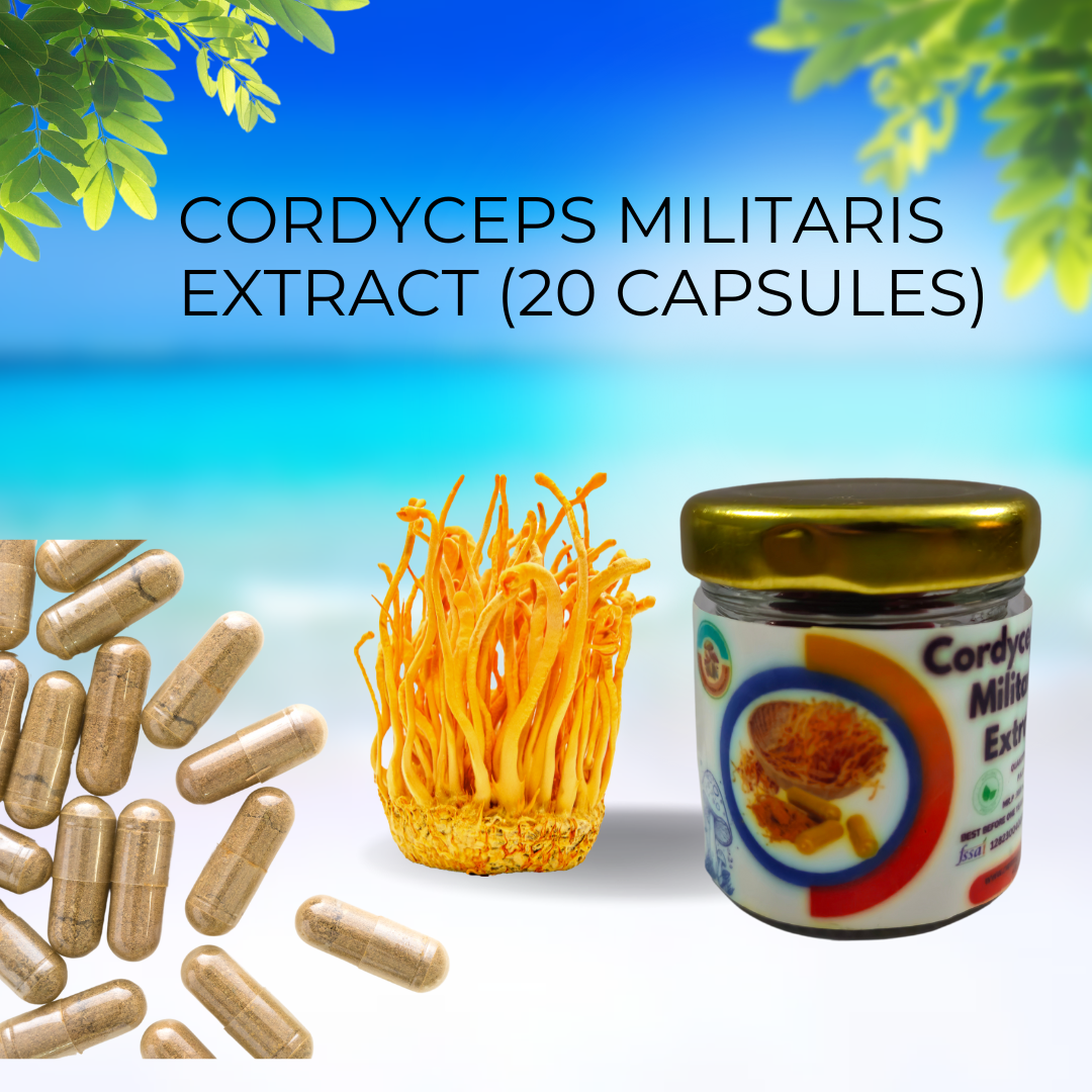 Cordyceps Militaris Extract (20 Capsules)