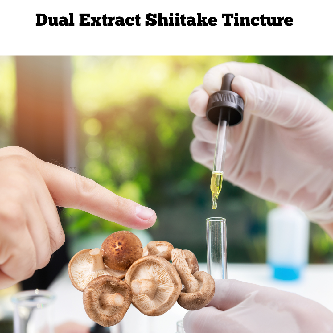 Shiitake Mushroom Extract Tincture 30ml (60 Servings)