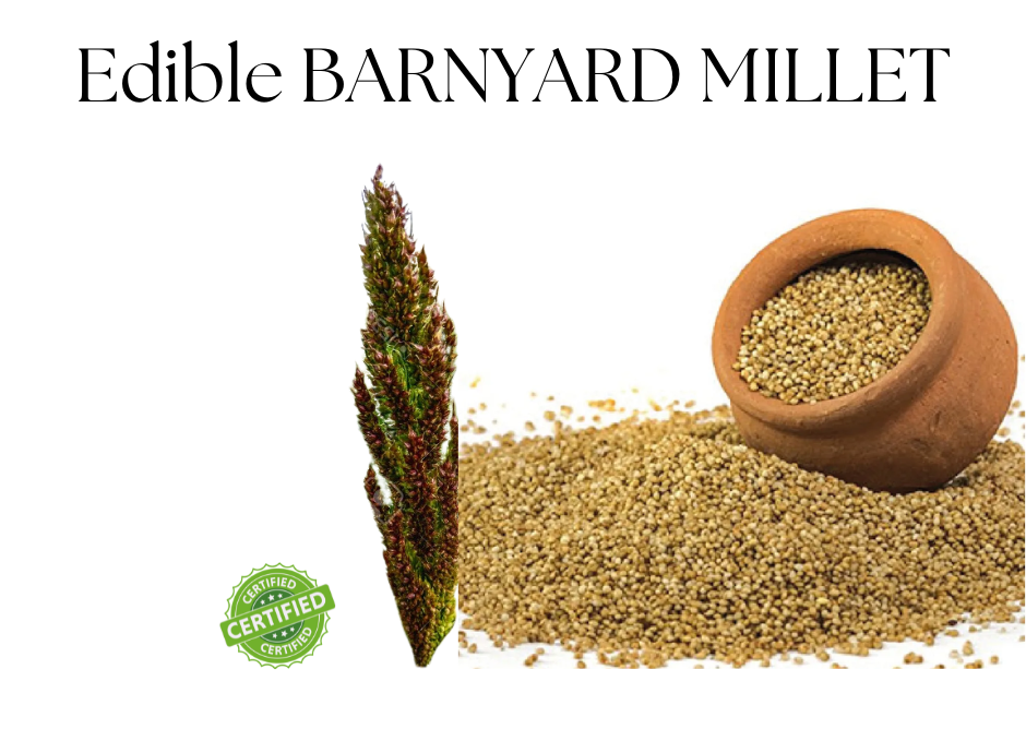 Millet Rice (Barnyard Millet) | 500g