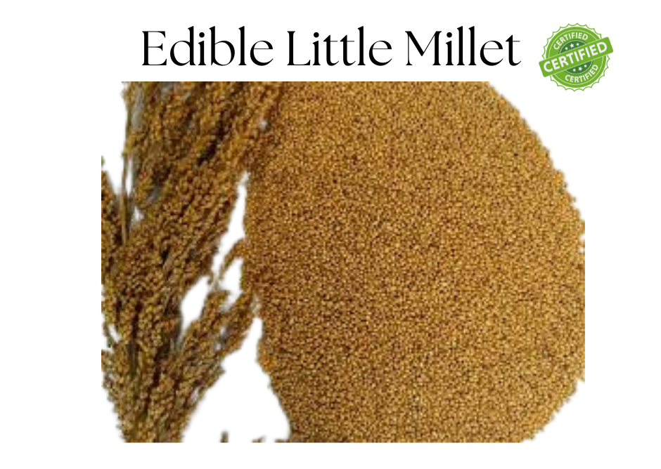 Millet Rice (Little Millet) | 500g