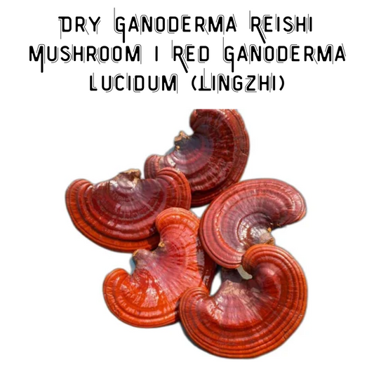 Dry Ganoderma Reishi Mushroom 30 gm | Red Ganoderma lucidum (Lingzhi)
