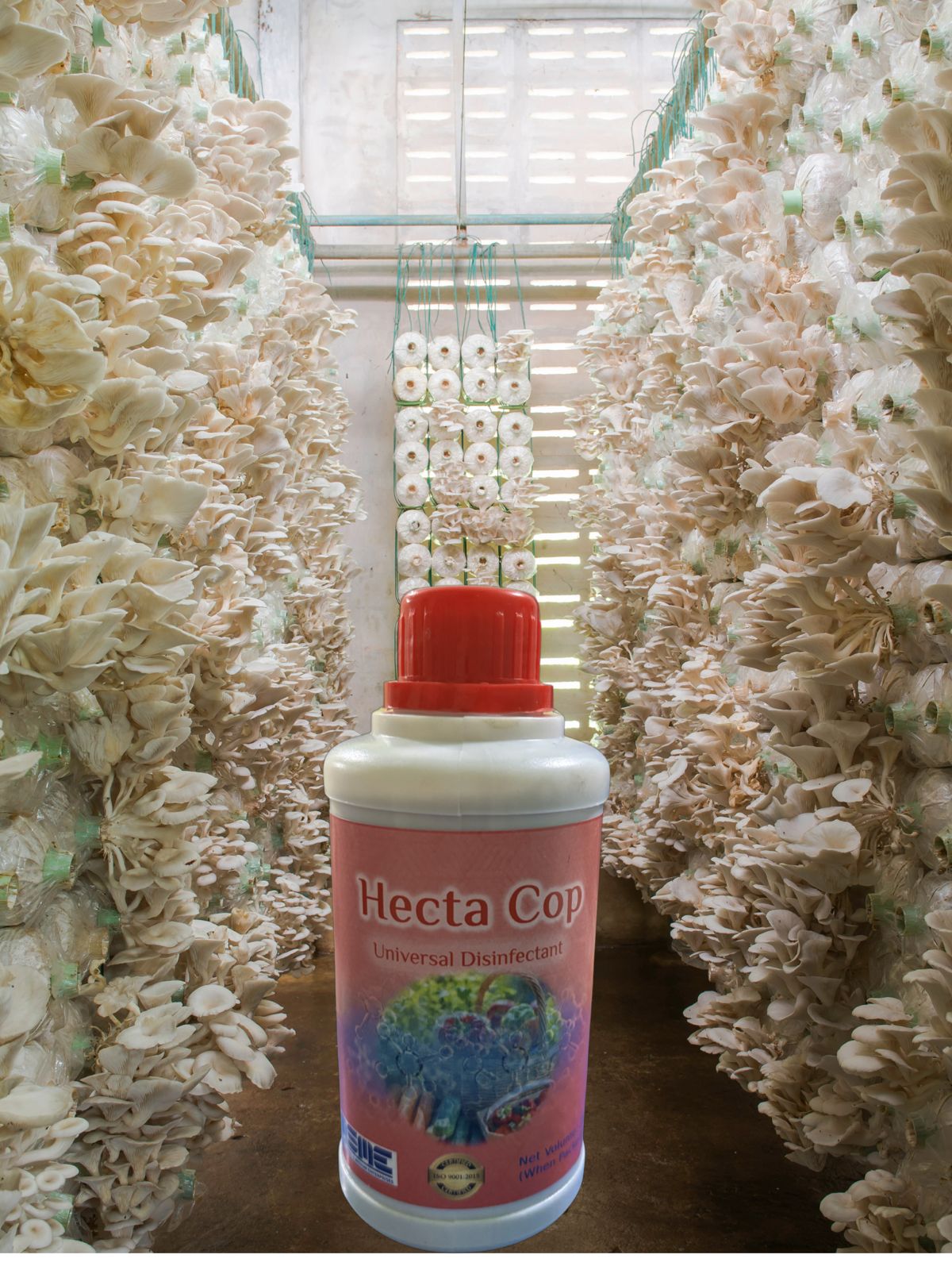 Hecta Cop – Organic Copper-Based Fungicide & Bactericide