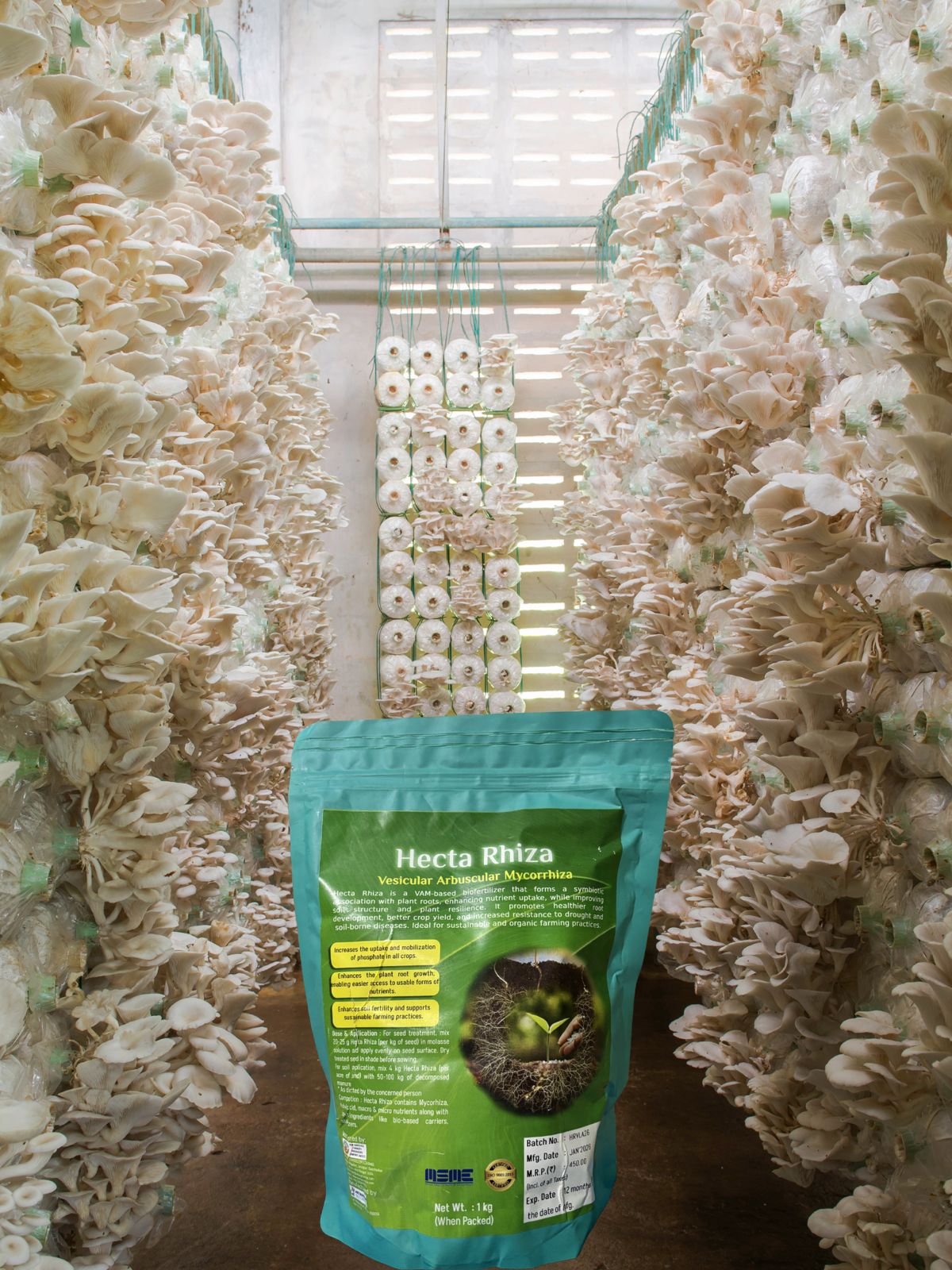 Hecta Rhiza – VAM Biofertilizer (Vesicular Arbuscular Mycorrhiza)