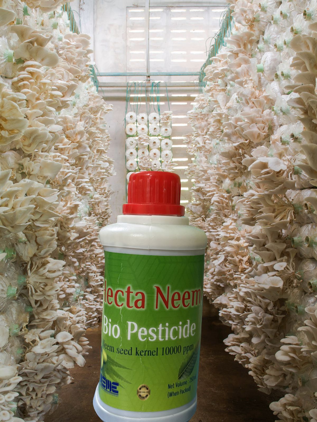 Hecta Neem – Organic Neem Oil (Azadirachtin 10,000 ppm)