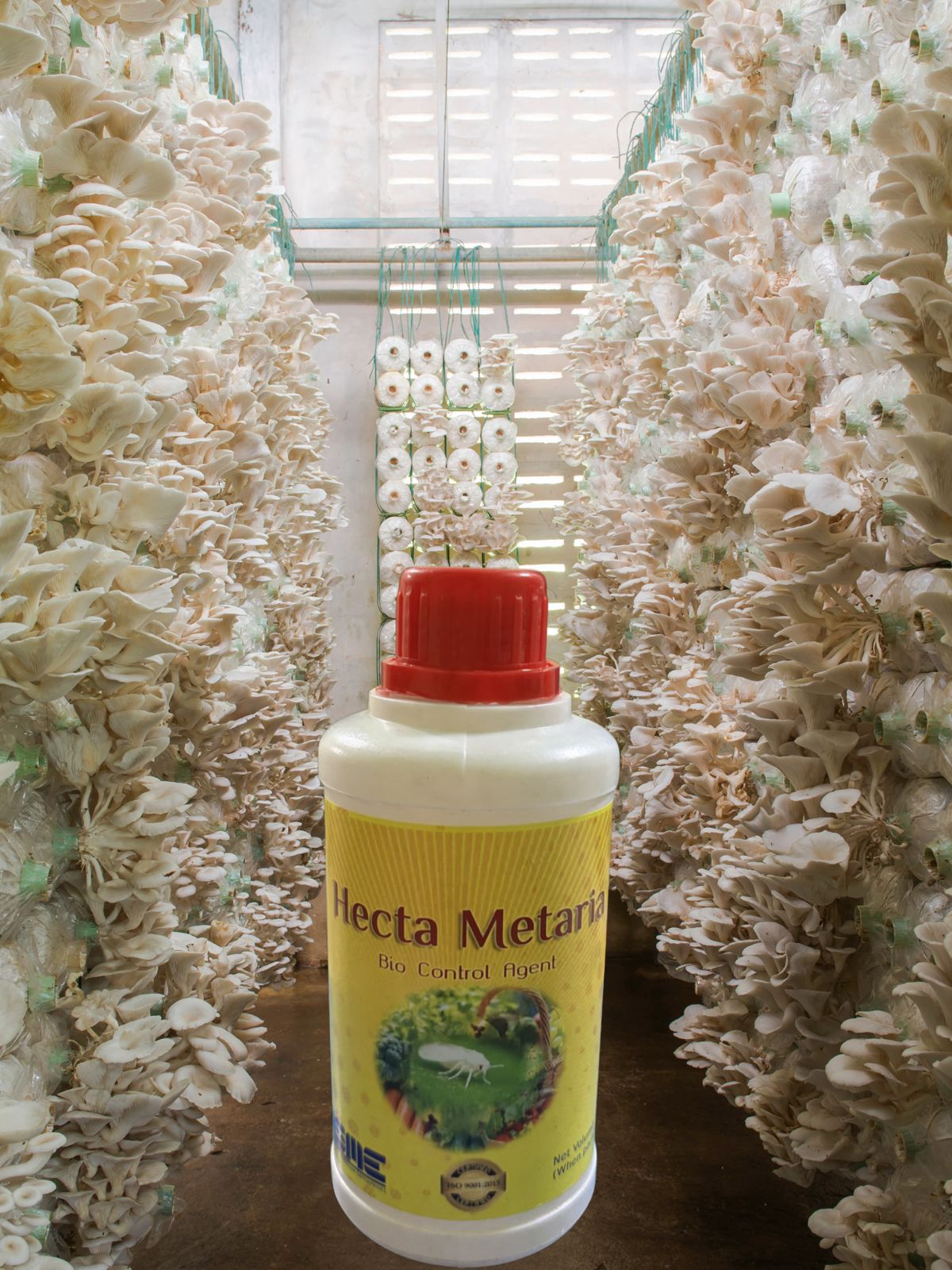 Hecta Metaria – Bio Insecticide (Beauveria bassiana & Metarhizium anisopliae)
