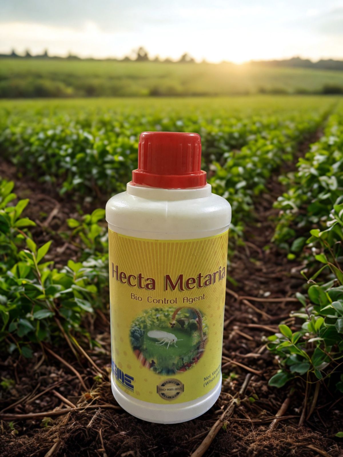 Hecta Metaria – Bio Insecticide (Beauveria bassiana & Metarhizium anisopliae)