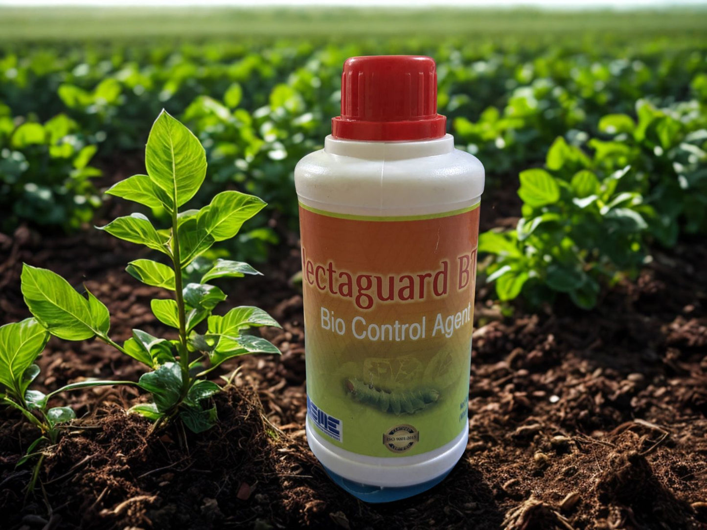 Hecta Guard BT – Bio Insecticide (Bacillus thuringiensis – Kurstaki)