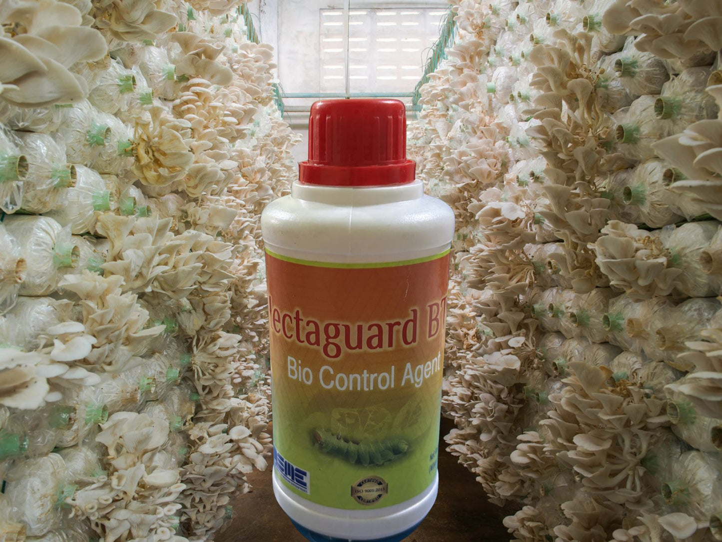 Hecta Guard BT – Bio Insecticide (Bacillus thuringiensis – Kurstaki)