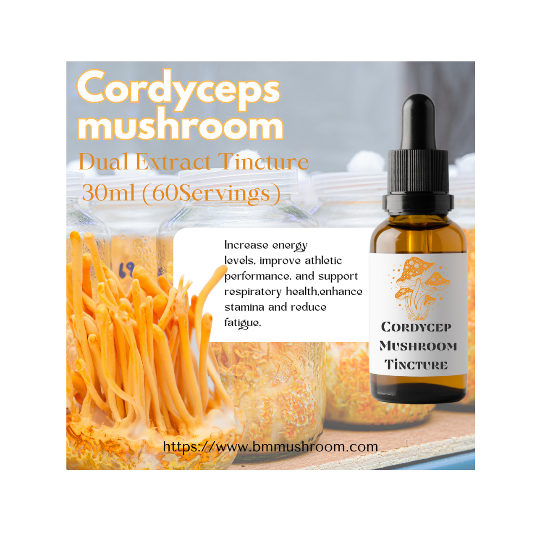 Cordyceps Mushroom Extract Tincture 30ml (60 Servings)