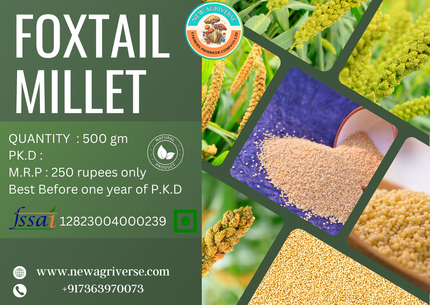 Foxtail Millet Whole Grain (Kangani) | 500g