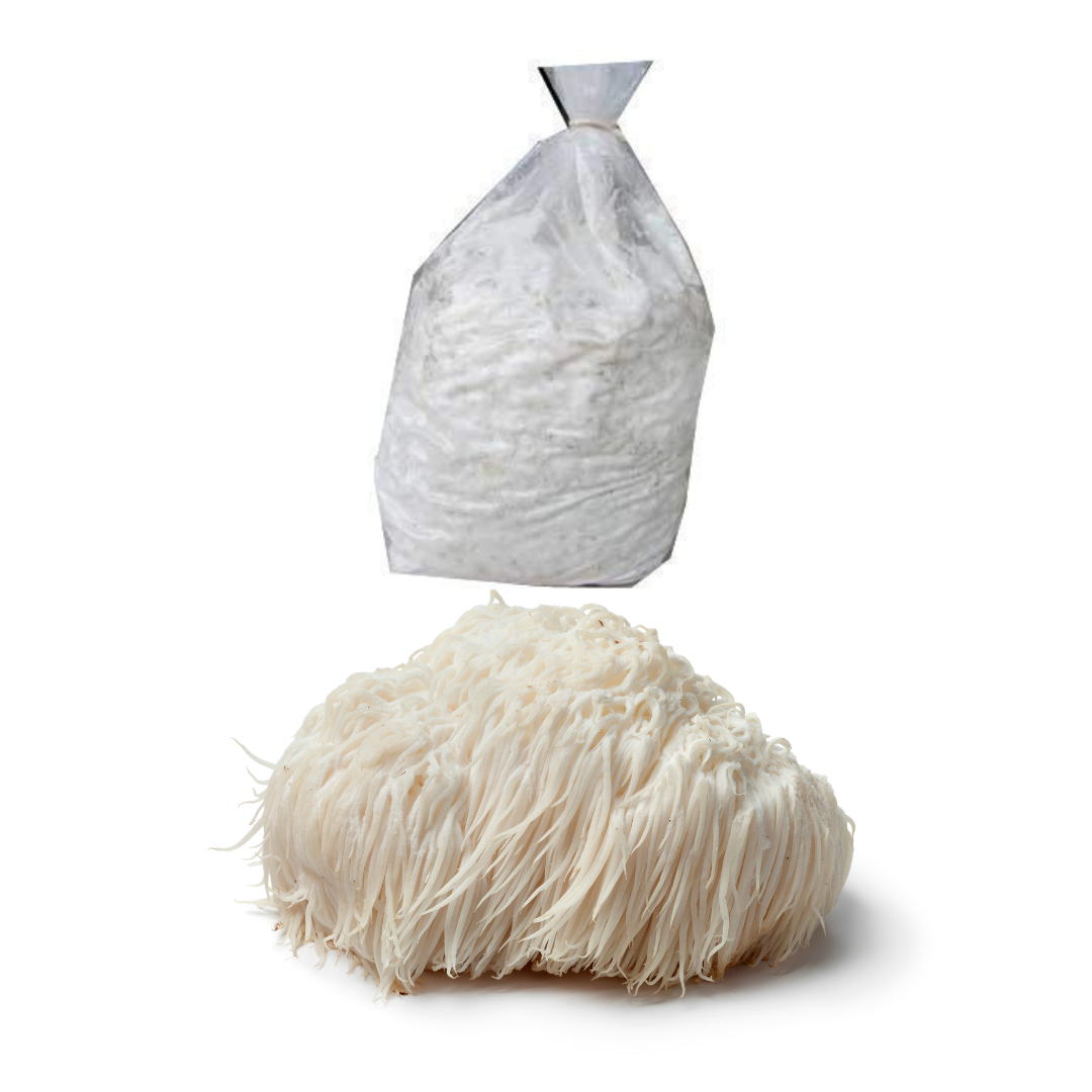 Lion's Mane Mushroom Spawn (Hericium erinaceus)