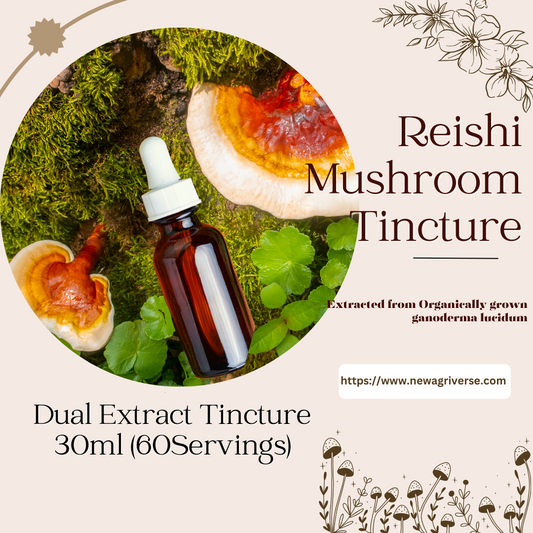 Reishi (Ganoderma Lucidum) Mushroom Extract Tincture 30ml (60 Servings)