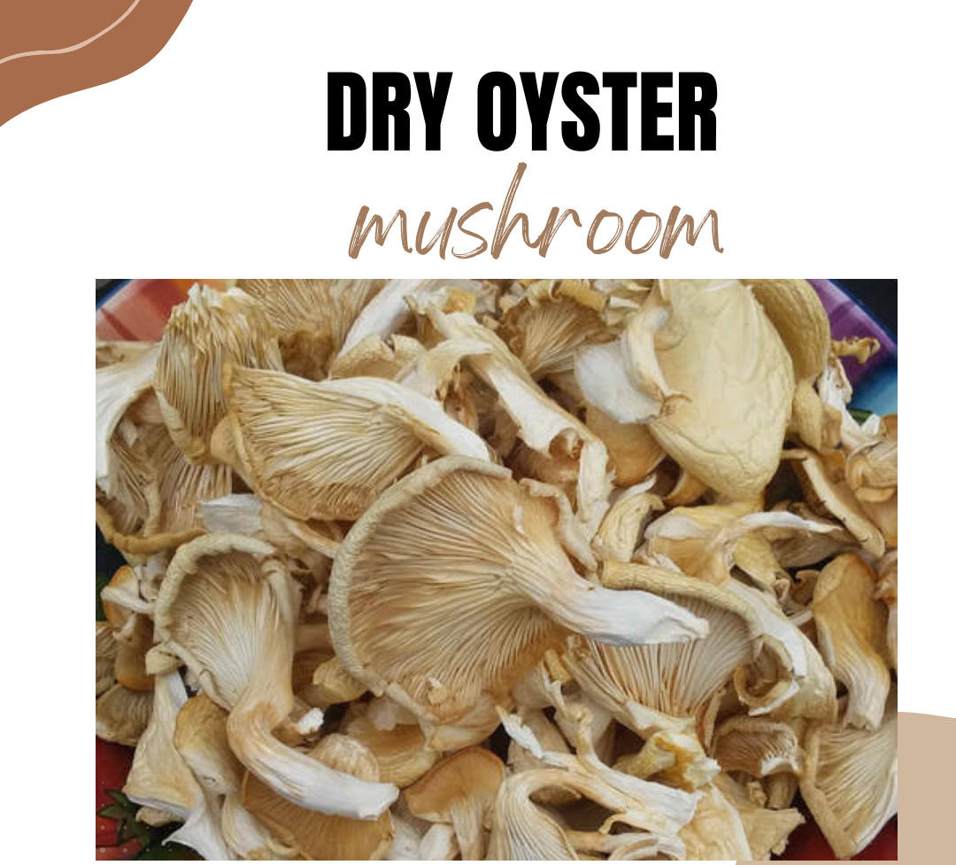 High-Quality A-Grade Dry Oyster Mushrooms | Pleurotus ostreatus | Nutrient-Rich 100 gm