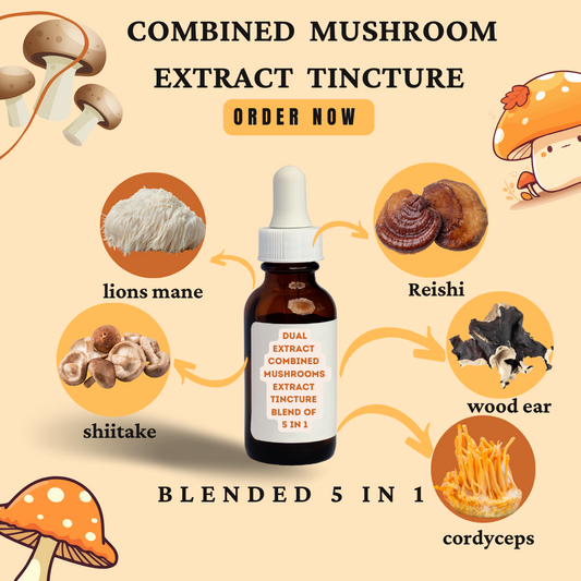 Mushroom Extract Tincture a potent fusion of Cordyceps militaris, Lion's Mane, Reishi, Shiitake, and Wood Ear Mushrooms 30ml (60 Servings)